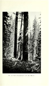 n58_w1150