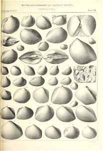 n534_w1150