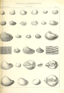 n414_w1150
