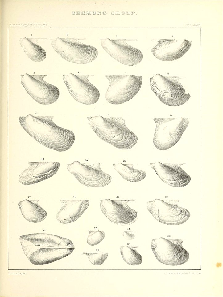 n458_w1150