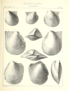n398_w1150