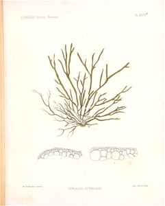 n212_w1150