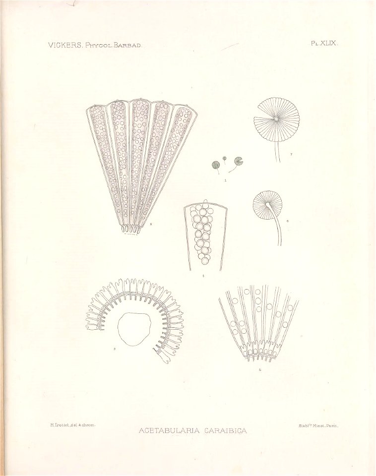 n140_w1150