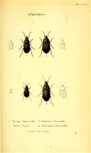n258_w1150