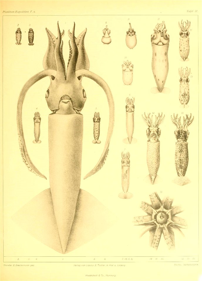 n154_w1150