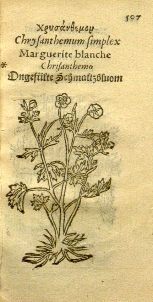 n529_w1150