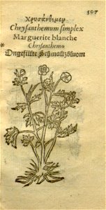 n529_w1150
