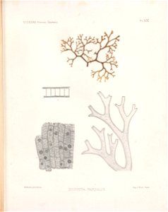 n204_w1150