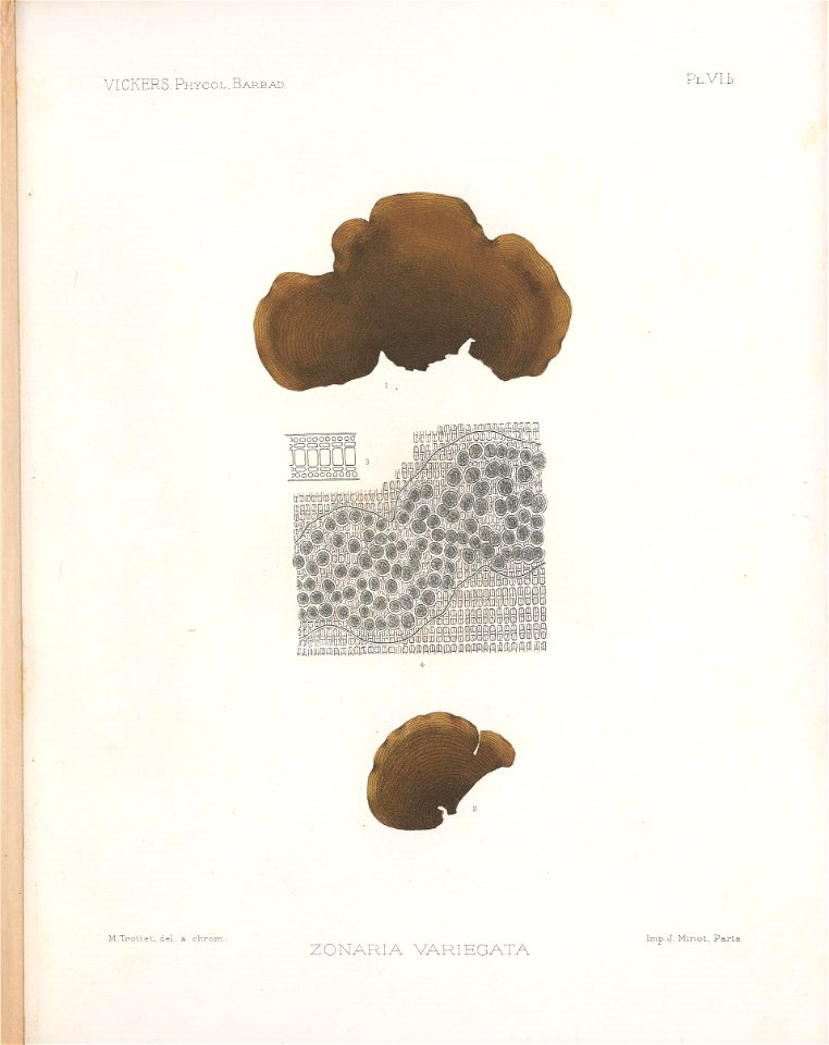 n174_w1150
