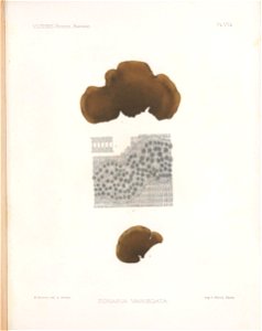 n174_w1150