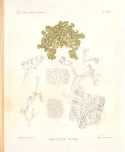 n102_w1150