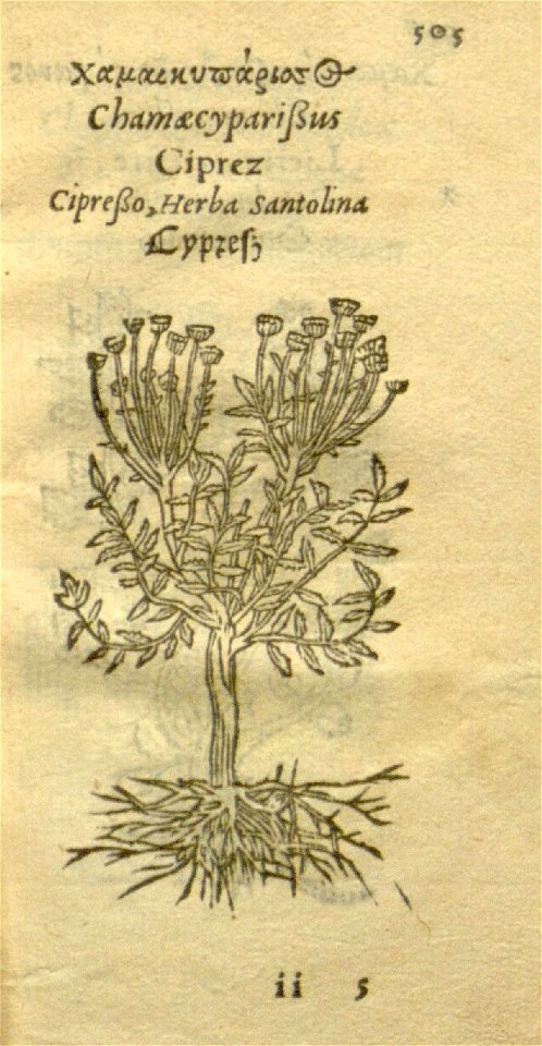n527_w1150