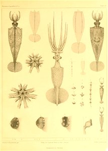 n194_w1150