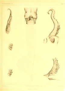 n130_w1150