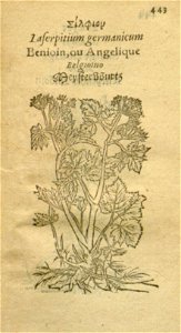 n465_w1150