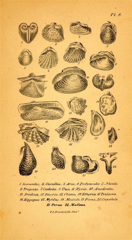 n44_w1150
