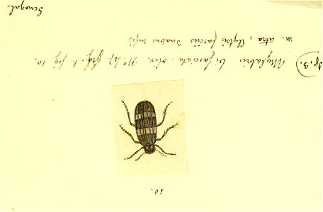 n128_w1150