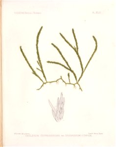 n122_w1150