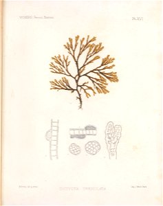 n194_w1150