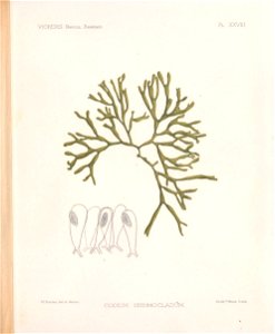 n92_w1150