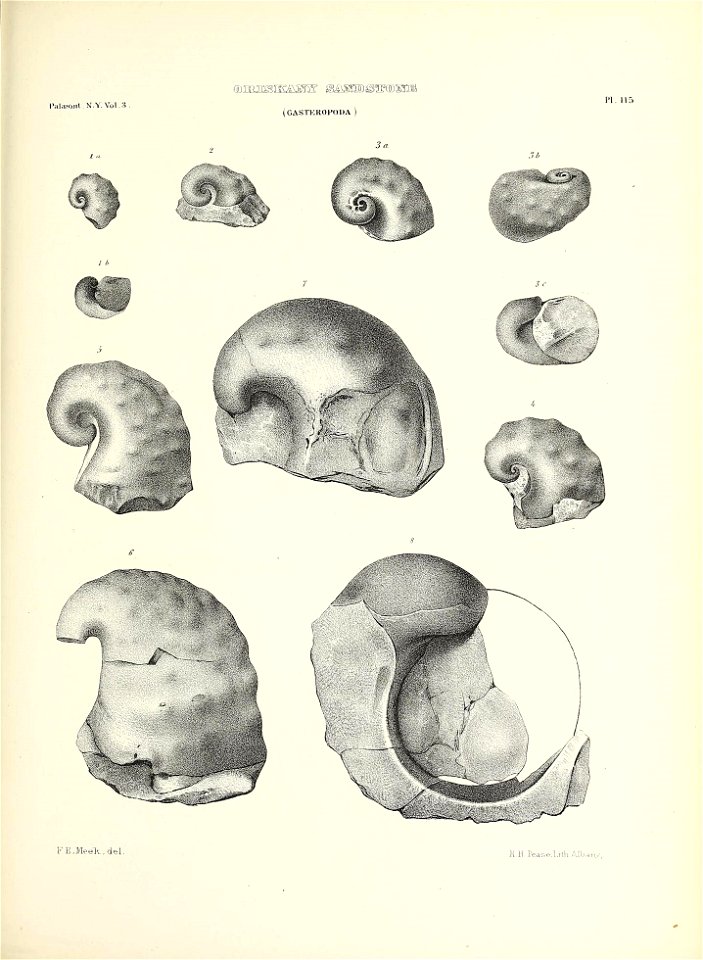 n554_w1150