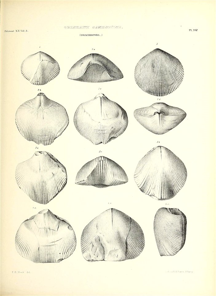 n494_w1150