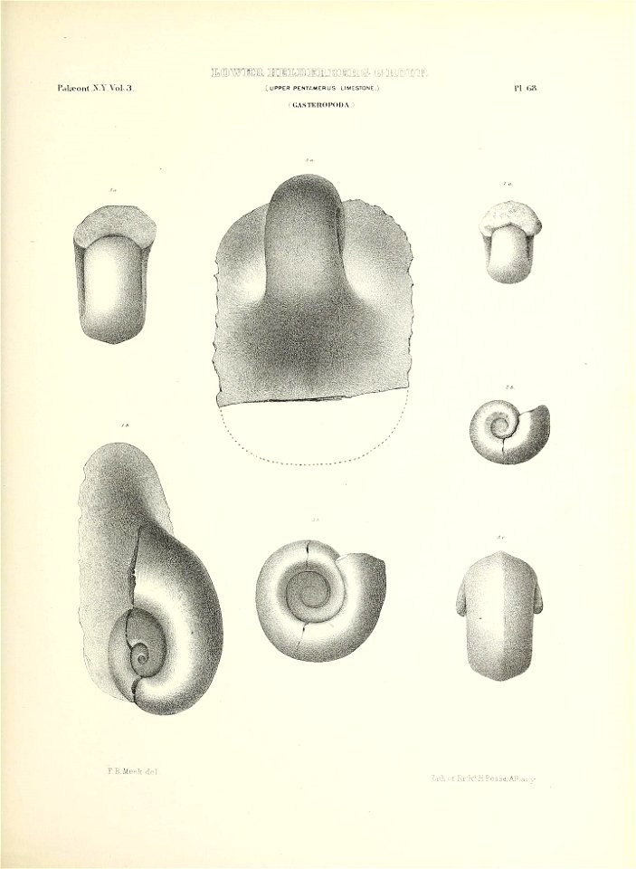 n314_w1150