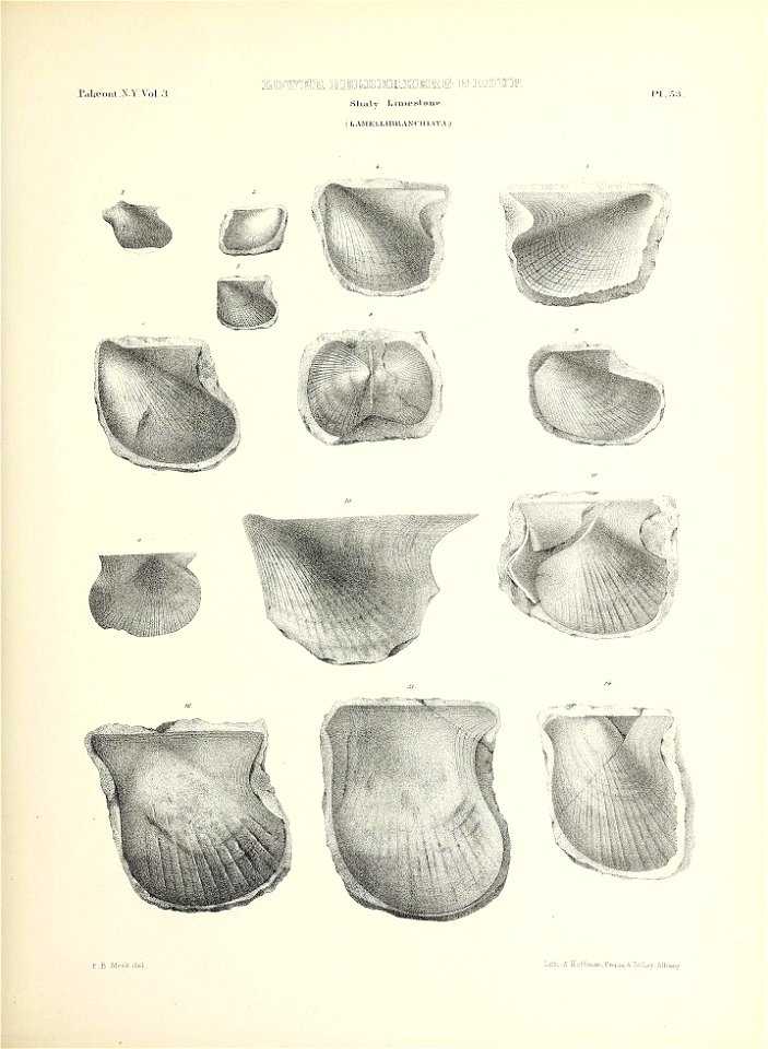 n254_w1150