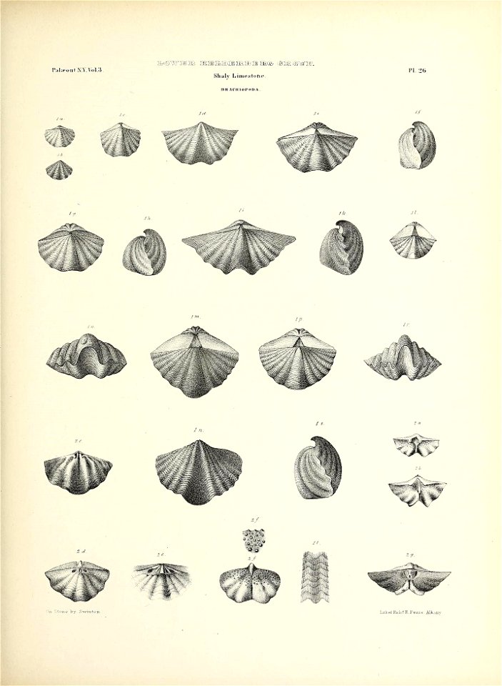 n134_w1150