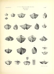 n134_w1150