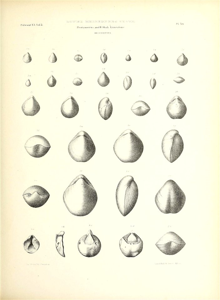 n194_w1150