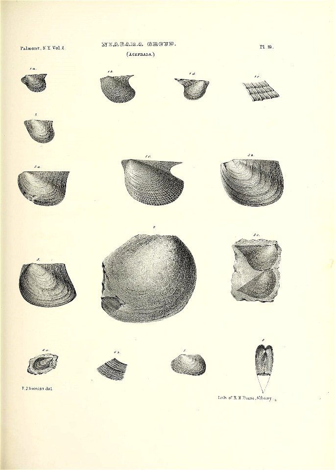 n688_w1150