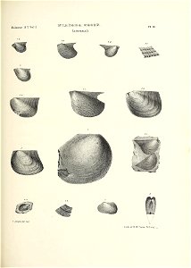 n688_w1150