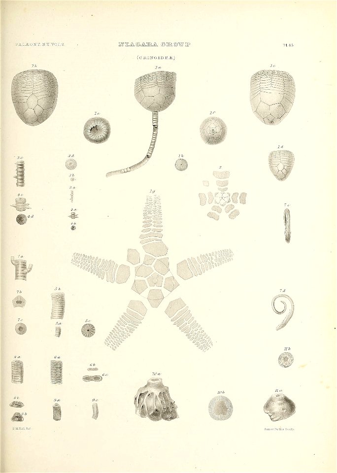 n628_w1150