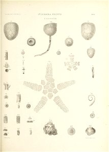 n628_w1150