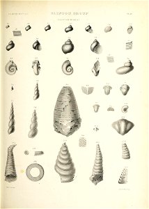 n508_w1150