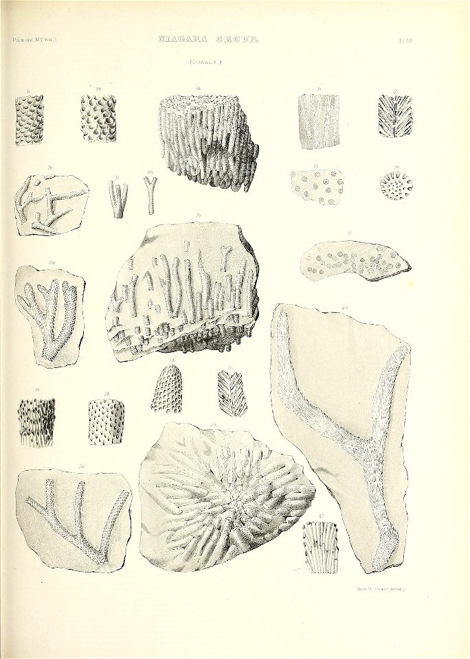 n568_w1150