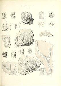 n568_w1150
