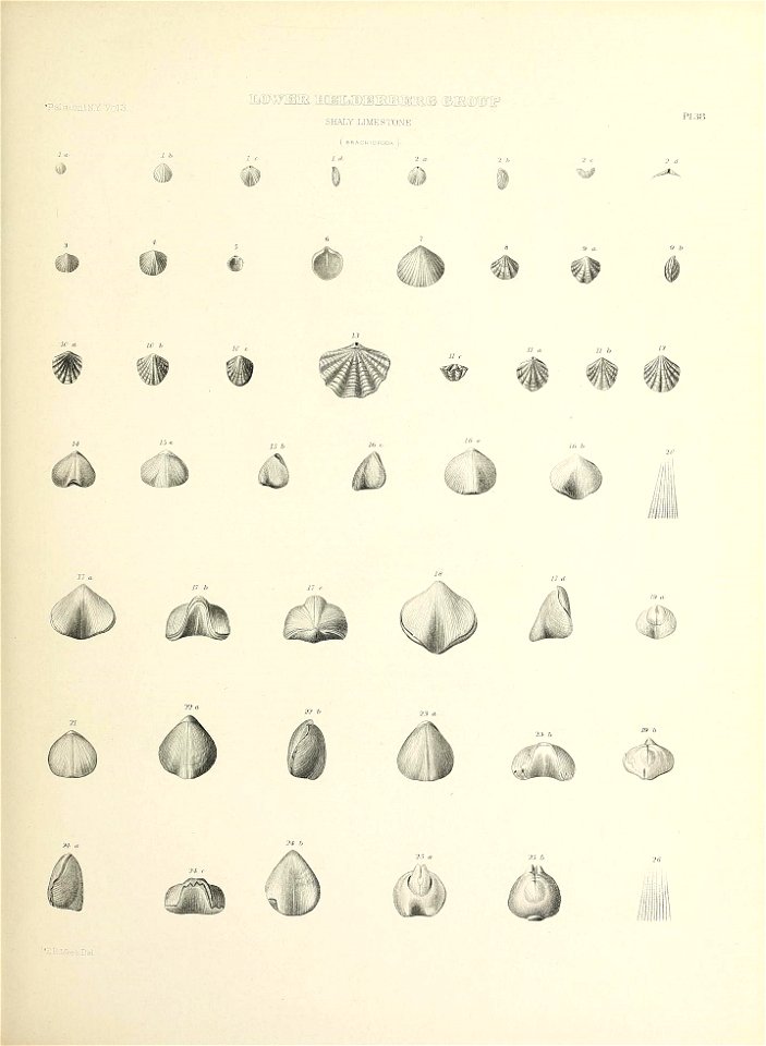 n190_w1150