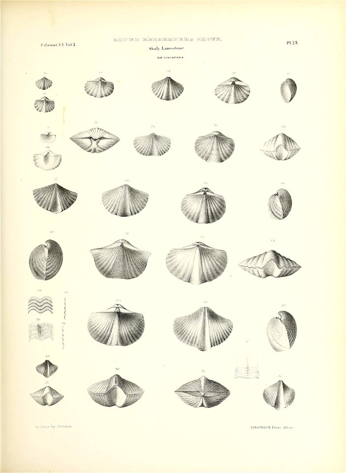 n130_w1150