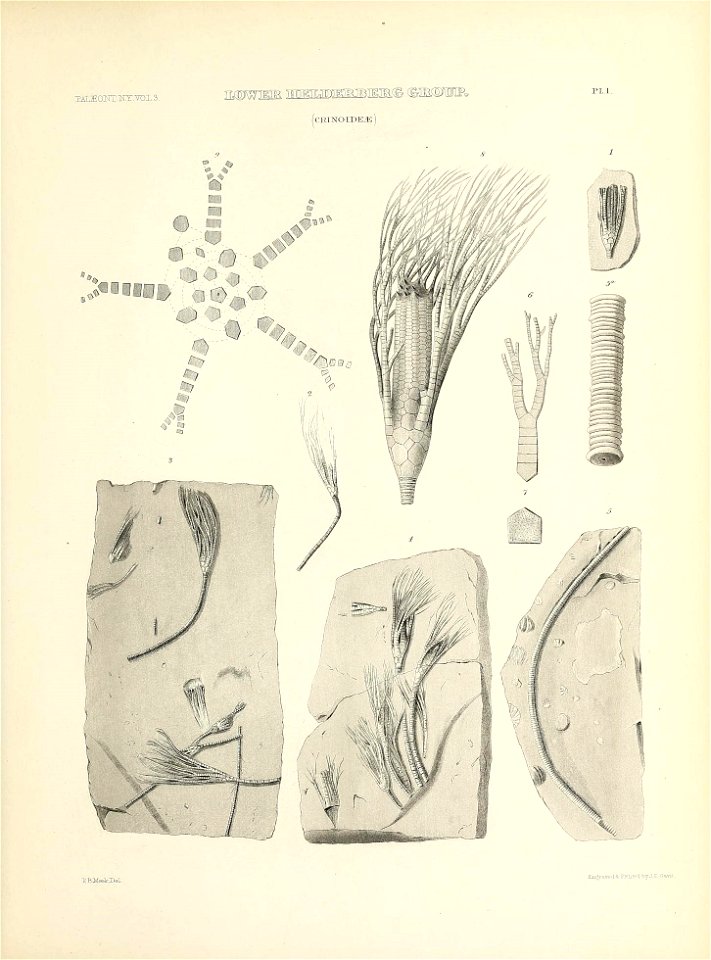 n12_w1150