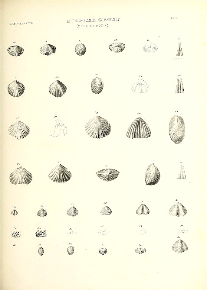 n684_w1150