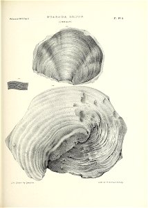 n564_w1150