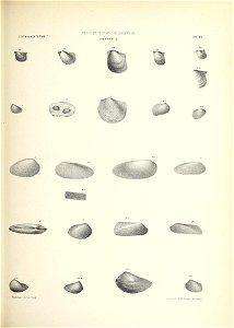 n504_w1150