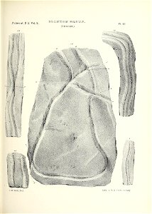 n444_w1150