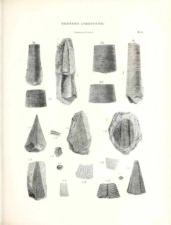 n656_w1150