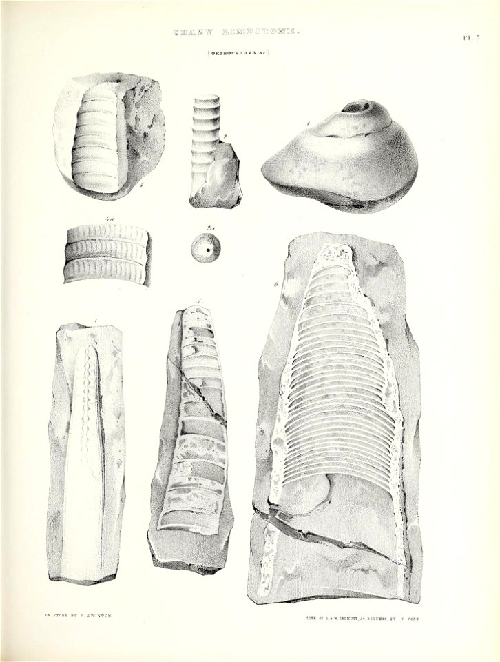 n406_w1150