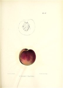 n182_w1150