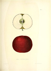 n152_w1150