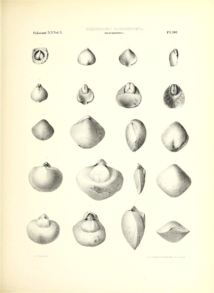 n486_w1150